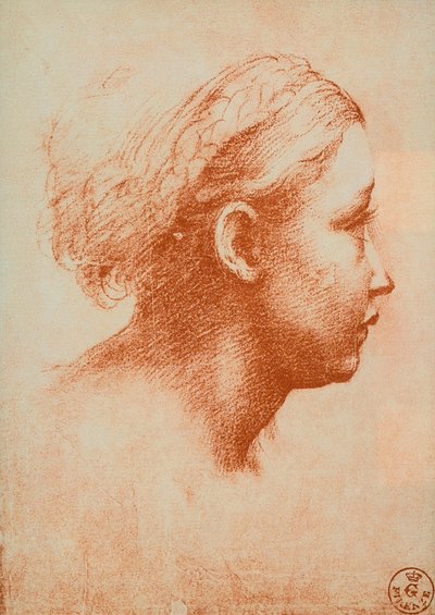 Female Head in Profile by Raffaello Sanzio Raphael